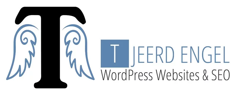 Webdesigner Friesland